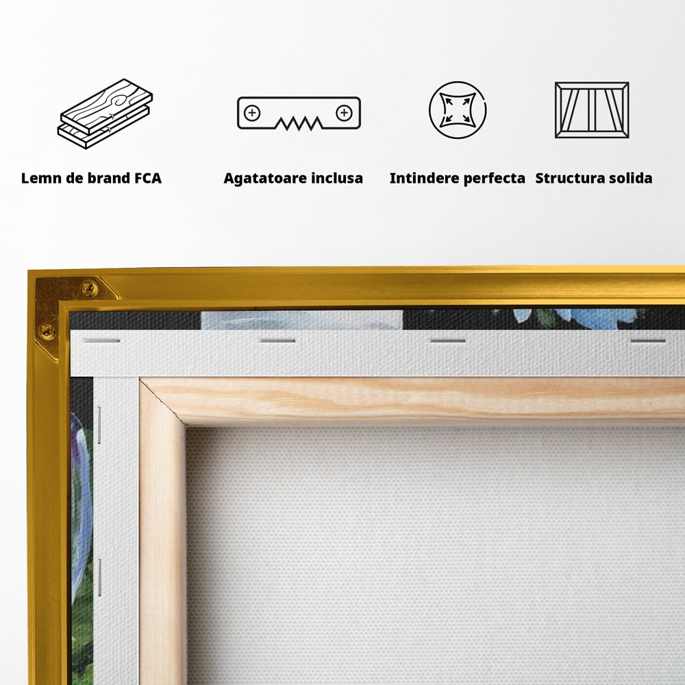 Spatele produsului, cu sasiu din lemn, capse metalice si agatatoare